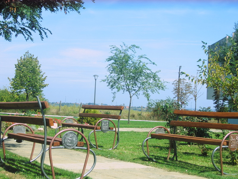 Slike